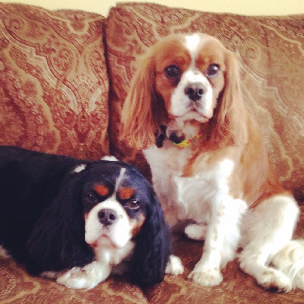 Meet your Posher, Joanna